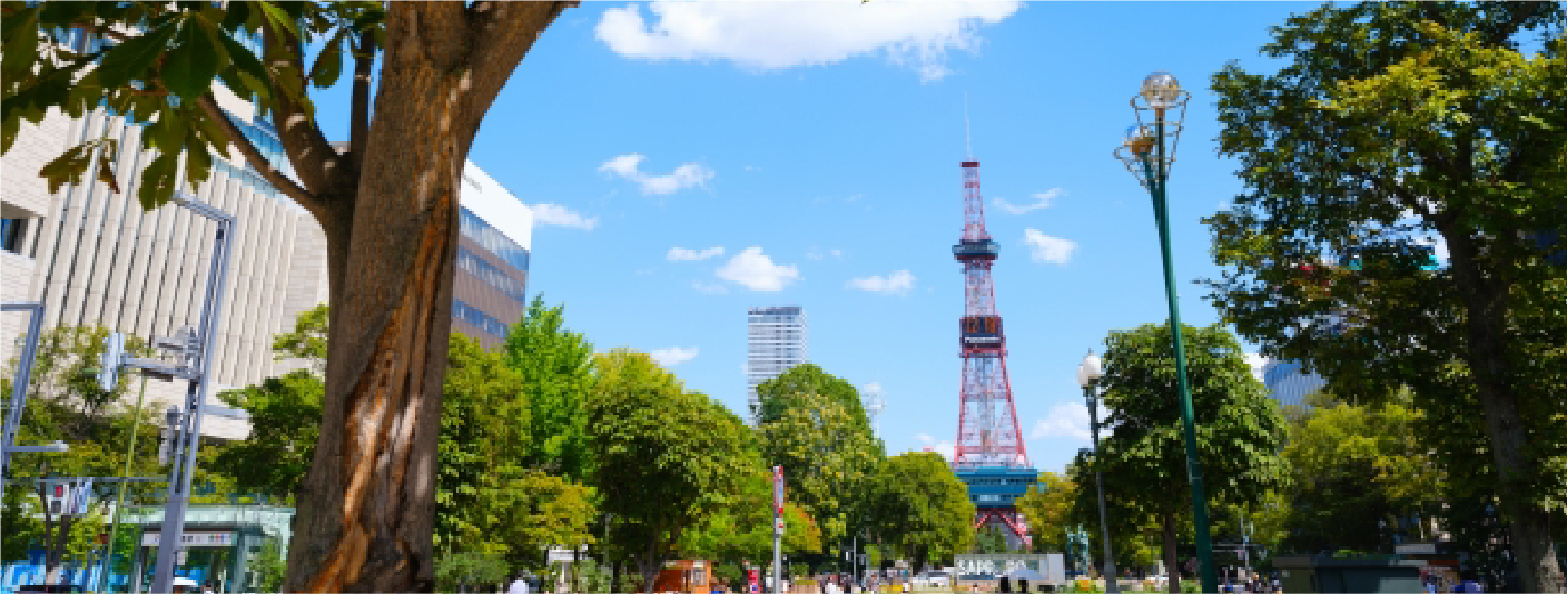 緑豊かな札幌の町並み